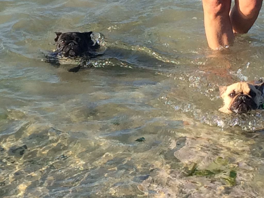 Du Clos De Chantegrive - Aprèm à la plage!