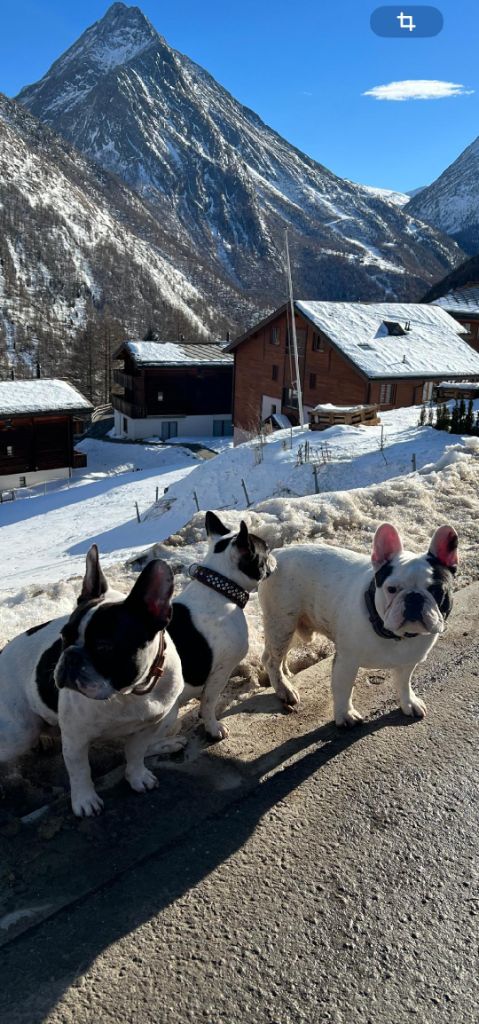 Du Clos De Chantegrive - URS à la neige !