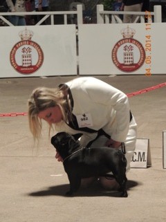 Du Clos De Chantegrive - EXPO MONACO