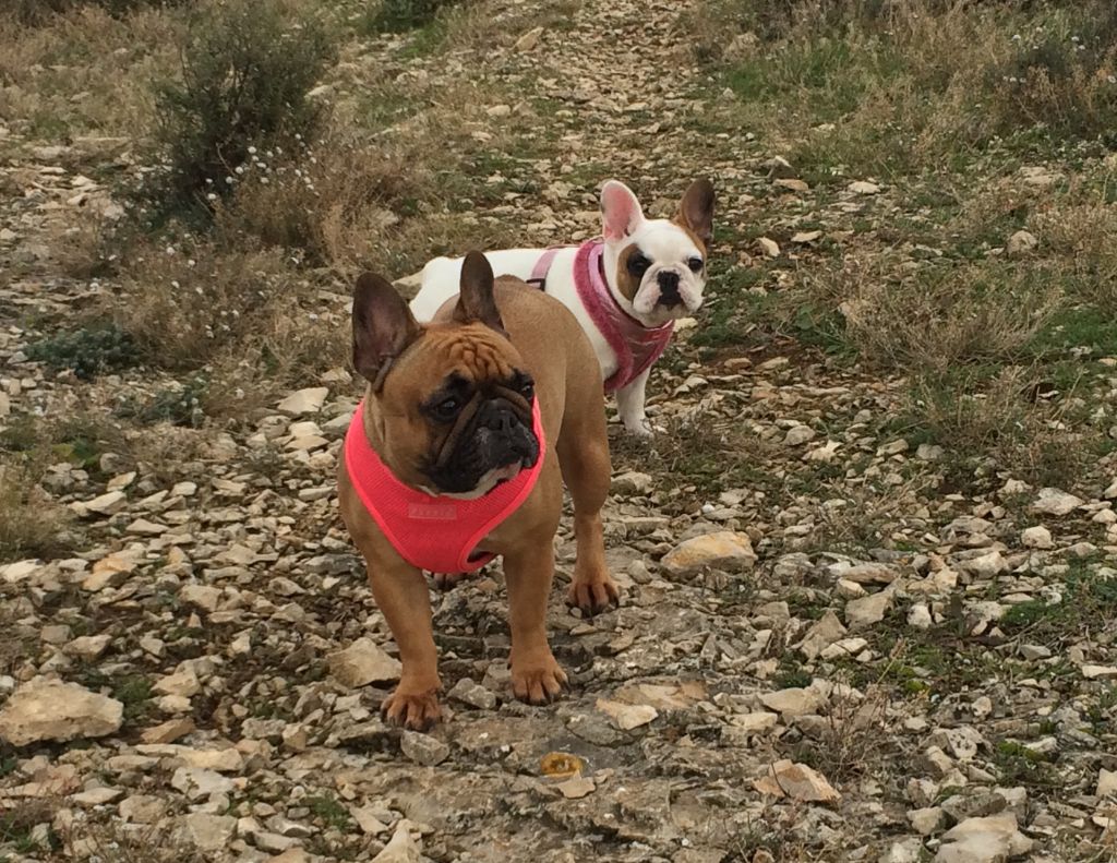 Du Clos De Chantegrive - Mère et fille en colline !