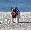  - MAITE à la plage ! 