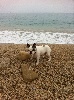  - HARLEY à la plage!