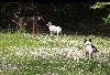  -  Balade au Parc de la Torse à Aix