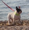  - LA DIVA à la plage !