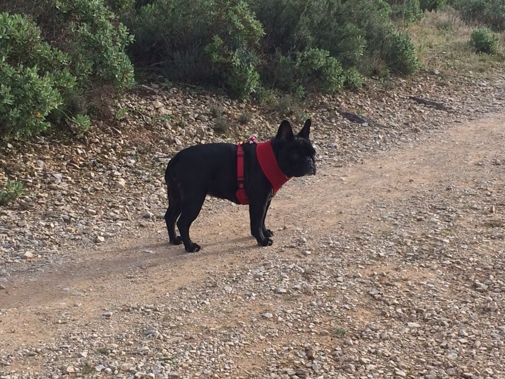 U and me Du Clos De Chantegrive