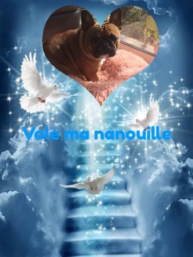Vole vole Ma Nanouille....