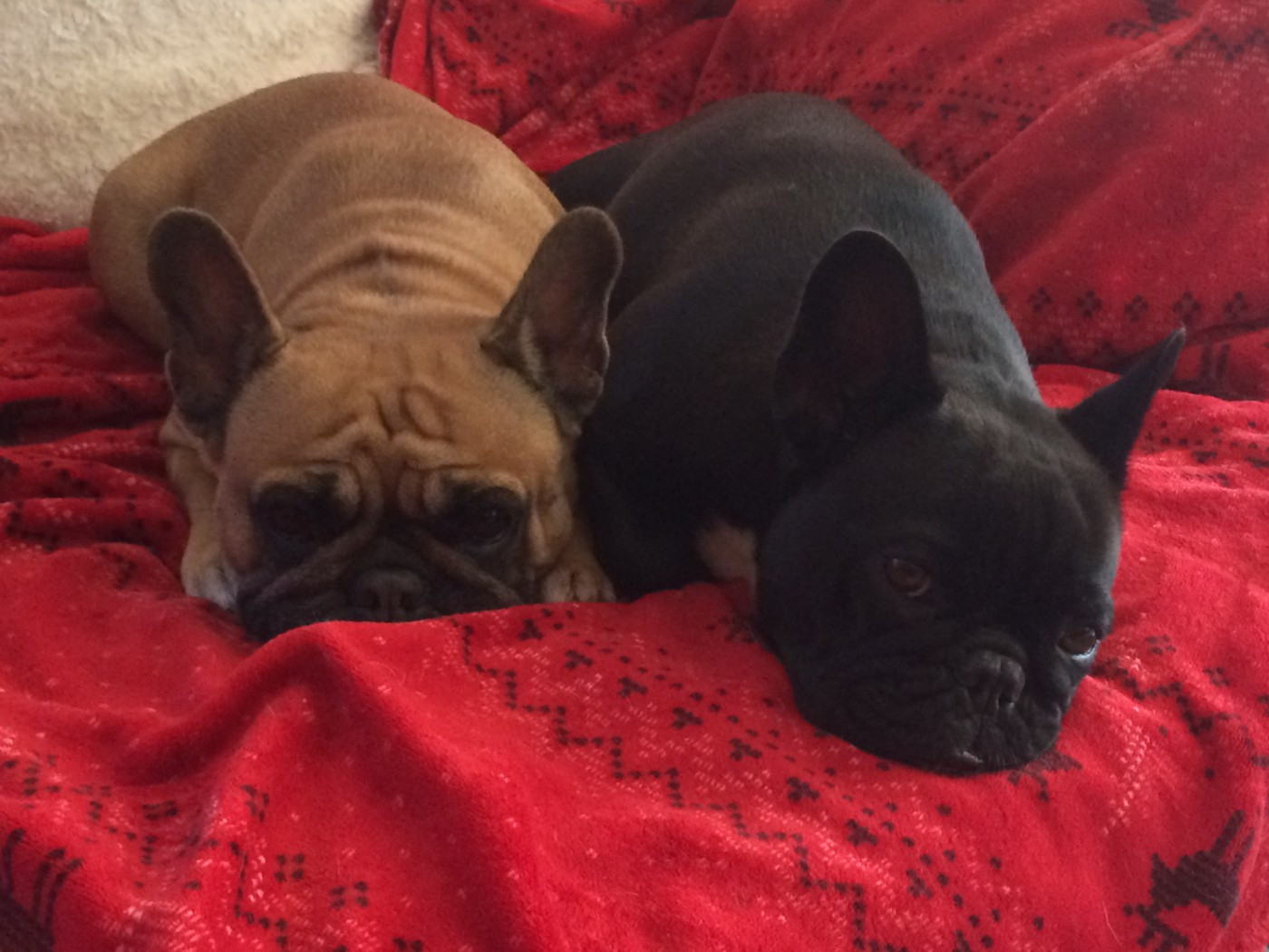 Du Clos De Chantegrive - Mère et fille!