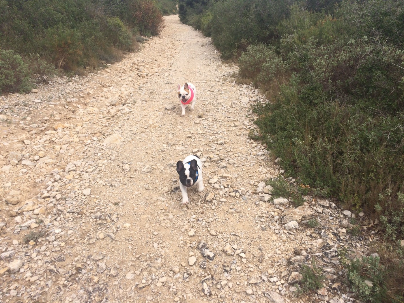 Première mini balade en colline !
