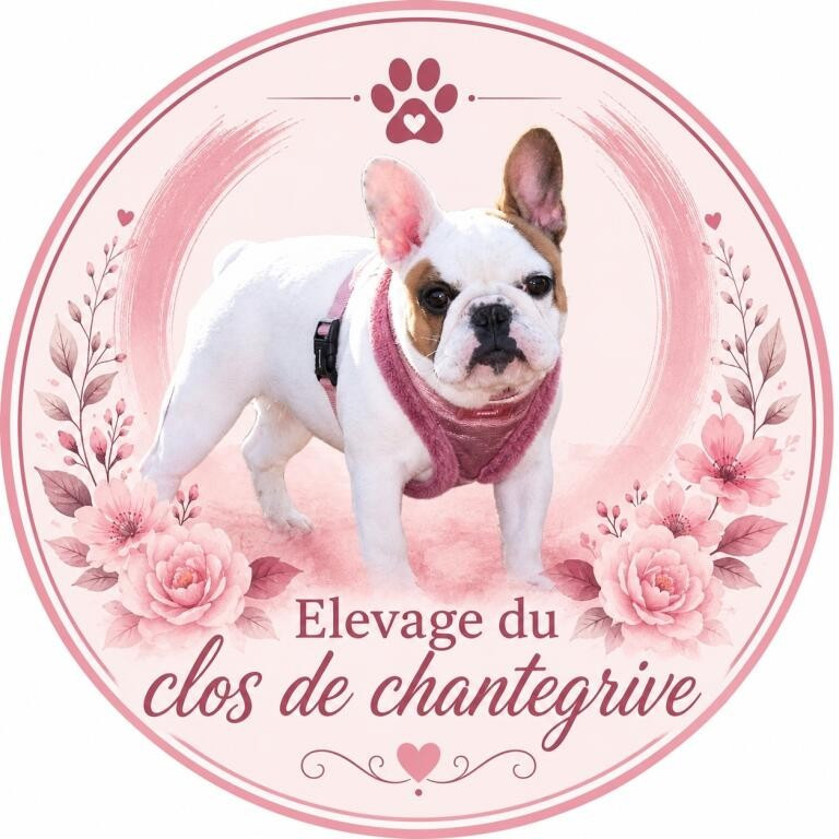 Du Clos De Chantegrive